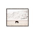Picture of Horse in Field  _GroupedProduct_Rectangle_Landscape_Photography _GroupedProduct_Rectangle_Landscape_Canvas_Framed_