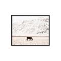 Picture of Horse in Field  _GroupedProduct_Rectangle_Landscape_Photography _GroupedProduct_Rectangle_Landscape_Canvas_Framed_