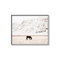 Picture of Horse in Field  _GroupedProduct_Rectangle_Landscape_Photography _GroupedProduct_Rectangle_Landscape_Canvas_Framed_