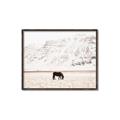 Picture of Horse in Field  _GroupedProduct_Rectangle_Landscape_Photography _GroupedProduct_Rectangle_Landscape_Canvas_Framed_