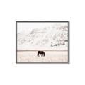 Picture of Horse in Field  _GroupedProduct_Rectangle_Landscape_Photography _GroupedProduct_Rectangle_Landscape_Canvas_Framed_