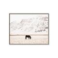 Picture of Horse in Field  _GroupedProduct_Rectangle_Landscape_Photography _GroupedProduct_Rectangle_Landscape_Canvas_Framed_