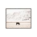 Picture of Horse in Field  _GroupedProduct_Rectangle_Landscape_Photography _GroupedProduct_Rectangle_Landscape_Canvas_Framed_