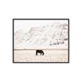 Picture of Horse in Field  _GroupedProduct_Rectangle_Landscape_Photography _GroupedProduct_Rectangle_Landscape_Canvas_Framed_