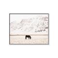 Picture of Horse in Field  _GroupedProduct_Rectangle_Landscape_Photography _GroupedProduct_Rectangle_Landscape_Canvas_Framed_