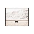 Picture of Horse in Field  _GroupedProduct_Rectangle_Landscape_Photography _GroupedProduct_Rectangle_Landscape_Canvas_Framed_