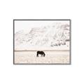 Picture of Horse in Field  _GroupedProduct_Rectangle_Landscape_Photography _GroupedProduct_Rectangle_Landscape_Canvas_Framed_