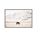 Picture of Horse in Field  _GroupedProduct_Rectangle_Landscape_Photography _GroupedProduct_Rectangle_Landscape_Canvas_Framed_