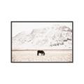 Picture of Horse in Field  _GroupedProduct_Rectangle_Landscape_Photography _GroupedProduct_Rectangle_Landscape_Canvas_Framed_