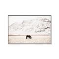 Picture of Horse in Field  _GroupedProduct_Rectangle_Landscape_Photography _GroupedProduct_Rectangle_Landscape_Canvas_Framed_