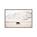 Picture of Horse in Field  _GroupedProduct_Rectangle_Landscape_Photography _GroupedProduct_Rectangle_Landscape_Canvas_Framed_