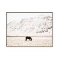 Picture of Horse in Field  _GroupedProduct_Rectangle_Landscape_Photography _GroupedProduct_Rectangle_Landscape_Canvas_Framed_