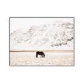 Picture of Horse in Field  _GroupedProduct_Rectangle_Landscape_Photography _GroupedProduct_Rectangle_Landscape_Canvas_Framed_