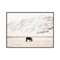 Picture of Horse in Field  _GroupedProduct_Rectangle_Landscape_Photography _GroupedProduct_Rectangle_Landscape_Canvas_Framed_