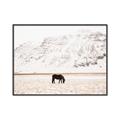 Picture of Horse in Field  _GroupedProduct_Rectangle_Landscape_Photography _GroupedProduct_Rectangle_Landscape_Canvas_Framed_
