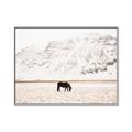 Picture of Horse in Field  _GroupedProduct_Rectangle_Landscape_Photography _GroupedProduct_Rectangle_Landscape_Canvas_Framed_
