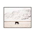 Picture of Horse in Field  _GroupedProduct_Rectangle_Landscape_Photography _GroupedProduct_Rectangle_Landscape_Canvas_Framed_