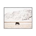 Picture of Horse in Field  _GroupedProduct_Rectangle_Landscape_Photography _GroupedProduct_Rectangle_Landscape_Canvas_Framed_