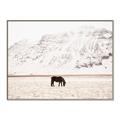 Picture of Horse in Field  _GroupedProduct_Rectangle_Landscape_Photography _GroupedProduct_Rectangle_Landscape_Canvas_Framed_