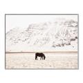 Picture of Horse in Field  _GroupedProduct_Rectangle_Landscape_Photography _GroupedProduct_Rectangle_Landscape_Canvas_Framed_