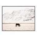 Picture of Horse in Field  _GroupedProduct_Rectangle_Landscape_Photography _GroupedProduct_Rectangle_Landscape_Canvas_Framed_