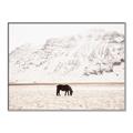 Picture of Horse in Field  _GroupedProduct_Rectangle_Landscape_Photography _GroupedProduct_Rectangle_Landscape_Canvas_Framed_