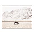 Picture of Horse in Field  _GroupedProduct_Rectangle_Landscape_Photography _GroupedProduct_Rectangle_Landscape_Canvas_Framed_