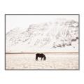 Picture of Horse in Field  _GroupedProduct_Rectangle_Landscape_Photography _GroupedProduct_Rectangle_Landscape_Canvas_Framed_
