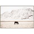 Picture of Horse in Field  _GroupedProduct_Rectangle_Landscape_Photography _GroupedProduct_Rectangle_Landscape_Canvas_Framed_