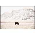 Picture of Horse in Field  _GroupedProduct_Rectangle_Landscape_Photography _GroupedProduct_Rectangle_Landscape_Canvas_Framed_