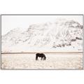 Picture of Horse in Field  _GroupedProduct_Rectangle_Landscape_Photography _GroupedProduct_Rectangle_Landscape_Canvas_Framed_