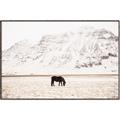 Picture of Horse in Field  _GroupedProduct_Rectangle_Landscape_Photography _GroupedProduct_Rectangle_Landscape_Canvas_Framed_