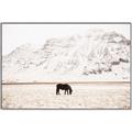 Picture of Horse in Field  _GroupedProduct_Rectangle_Landscape_Photography _GroupedProduct_Rectangle_Landscape_Canvas_Framed_