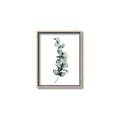 Picture of Leaves IV _GroupedProduct_Rectangle_Portrait_Canvas_Framed_