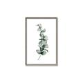 Picture of Leaves IV _GroupedProduct_Rectangle_Portrait_Canvas_Framed_