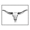 Picture of Skull _GroupedProduct_Rectangle_Landscape_Photography _GroupedProduct_Rectangle_Landscape_Canvas_Framed_