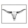 Picture of Skull _GroupedProduct_Rectangle_Landscape_Photography _GroupedProduct_Rectangle_Landscape_Canvas_Framed_