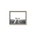 Picture of Field Sheep  _GroupedProduct_Rectangle_Landscape_Photography _GroupedProduct_Rectangle_Landscape_Canvas_Framed_
