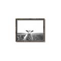 Picture of Field Sheep  _GroupedProduct_Rectangle_Landscape_Photography _GroupedProduct_Rectangle_Landscape_Canvas_Framed_