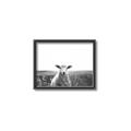 Picture of Field Sheep  _GroupedProduct_Rectangle_Landscape_Photography _GroupedProduct_Rectangle_Landscape_Canvas_Framed_