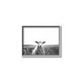 Picture of Field Sheep  _GroupedProduct_Rectangle_Landscape_Photography _GroupedProduct_Rectangle_Landscape_Canvas_Framed_