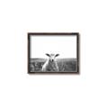 Picture of Field Sheep  _GroupedProduct_Rectangle_Landscape_Photography _GroupedProduct_Rectangle_Landscape_Canvas_Framed_