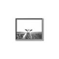 Picture of Field Sheep  _GroupedProduct_Rectangle_Landscape_Photography _GroupedProduct_Rectangle_Landscape_Canvas_Framed_