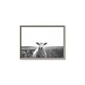 Picture of Field Sheep  _GroupedProduct_Rectangle_Landscape_Photography _GroupedProduct_Rectangle_Landscape_Canvas_Framed_