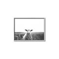 Picture of Field Sheep  _GroupedProduct_Rectangle_Landscape_Photography _GroupedProduct_Rectangle_Landscape_Canvas_Framed_