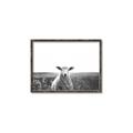 Picture of Field Sheep  _GroupedProduct_Rectangle_Landscape_Photography _GroupedProduct_Rectangle_Landscape_Canvas_Framed_