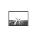 Picture of Field Sheep  _GroupedProduct_Rectangle_Landscape_Photography _GroupedProduct_Rectangle_Landscape_Canvas_Framed_