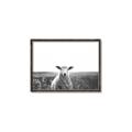 Picture of Field Sheep  _GroupedProduct_Rectangle_Landscape_Photography _GroupedProduct_Rectangle_Landscape_Canvas_Framed_