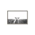 Picture of Field Sheep  _GroupedProduct_Rectangle_Landscape_Photography _GroupedProduct_Rectangle_Landscape_Canvas_Framed_