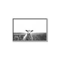 Picture of Field Sheep  _GroupedProduct_Rectangle_Landscape_Photography _GroupedProduct_Rectangle_Landscape_Canvas_Framed_